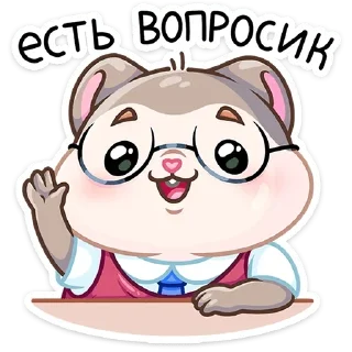 🙋