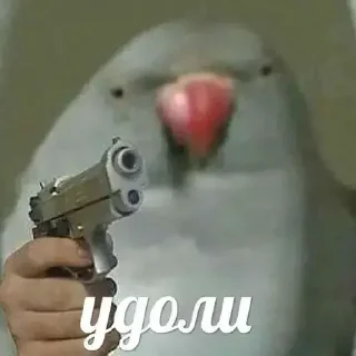 🔫