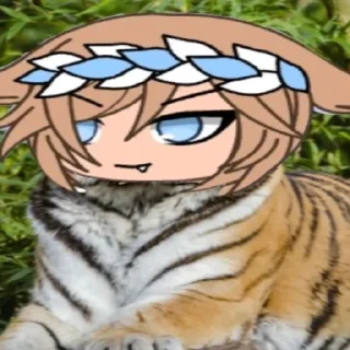 🐯