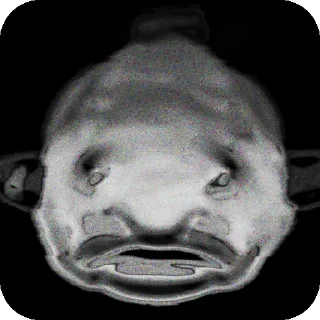 😶