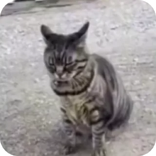 🙃