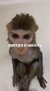 🤩