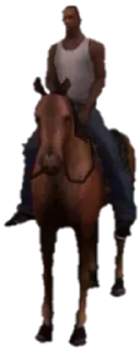 🐎