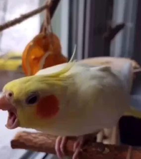 😡