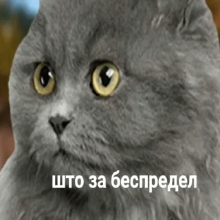 😒