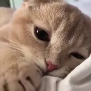 🤍