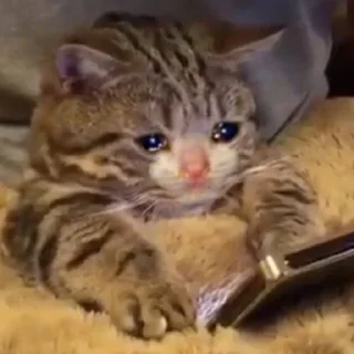😢