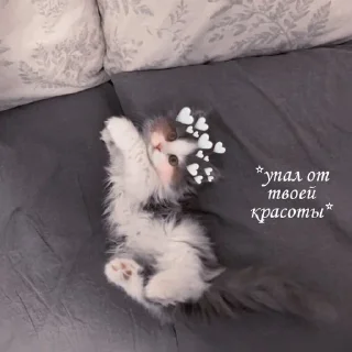 😍