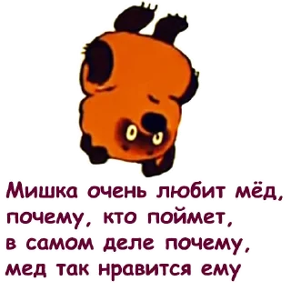 🐻