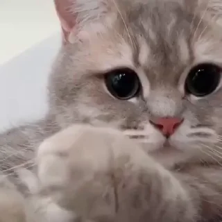 🥹
