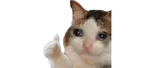 👍