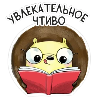 📖