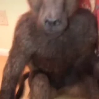 🤪
