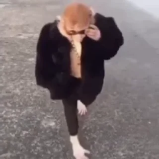 🌟