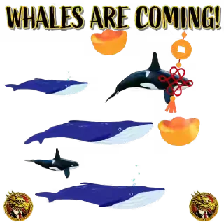 🐳