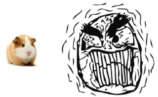 🐹