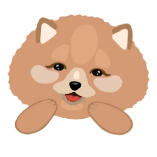 🐶