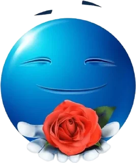 🌹