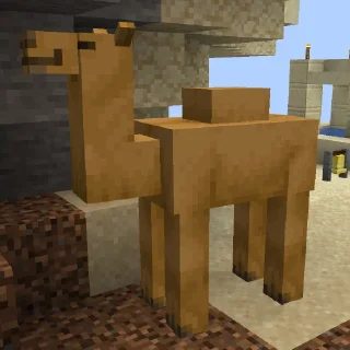 🐪