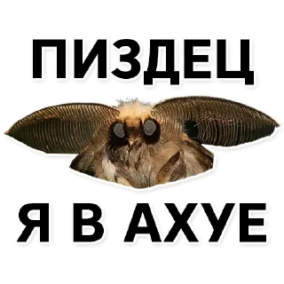 😡