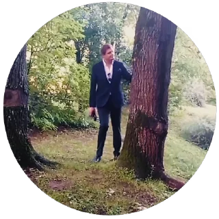 🌲