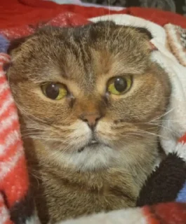 😐