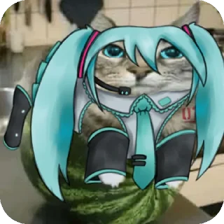 🐱