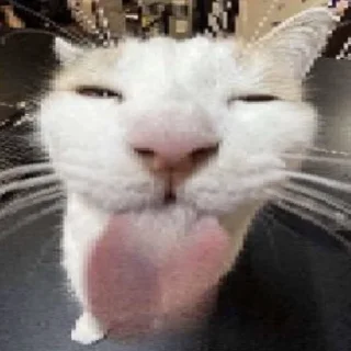 😋