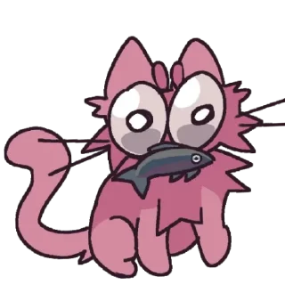🐱