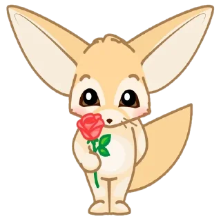 🦊