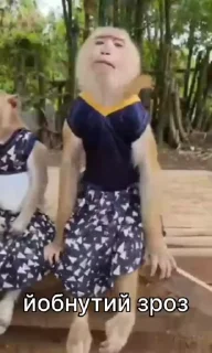 🤪