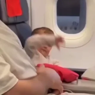 ✋
