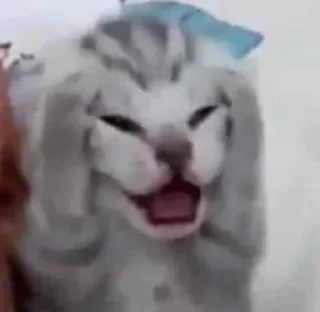 😱