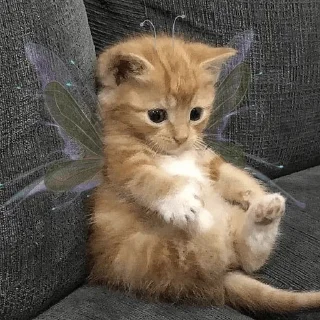 💗