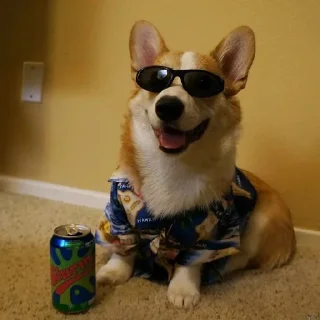 😎