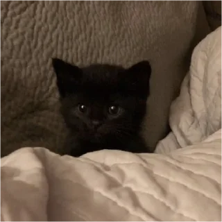 😮