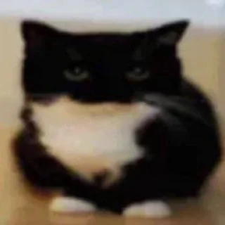 🪨