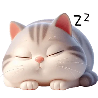 😴