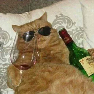 🍾