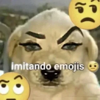🤨