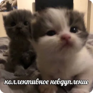 😐
