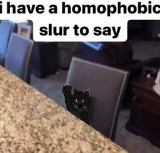 🏳‍🌈
