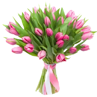 🌷