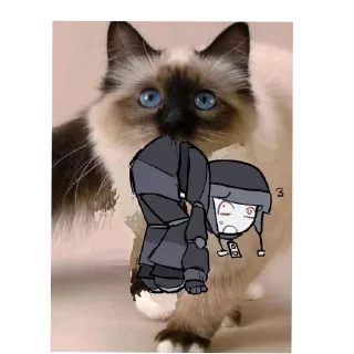 🐱
