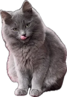 😜