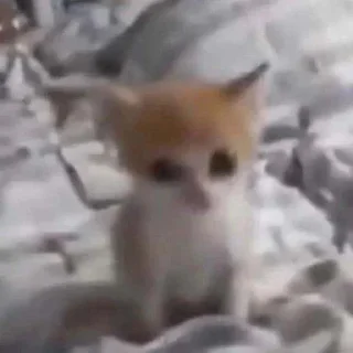 😶