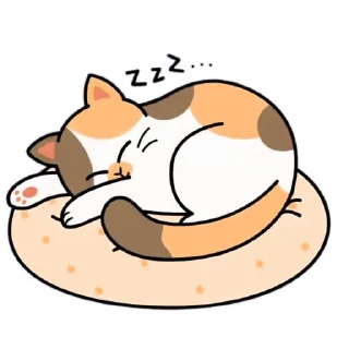 😴