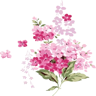 🌸
