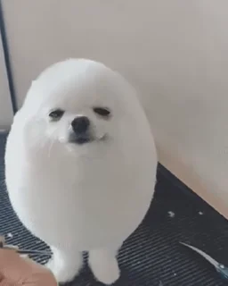 🥚