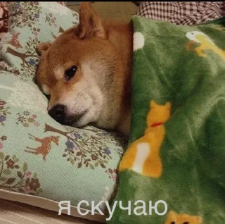 😥